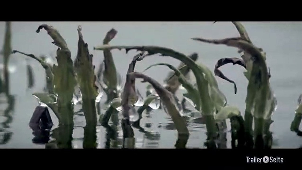 Ausschnitt aus Die Neue Wildnis: Der Winter Naht