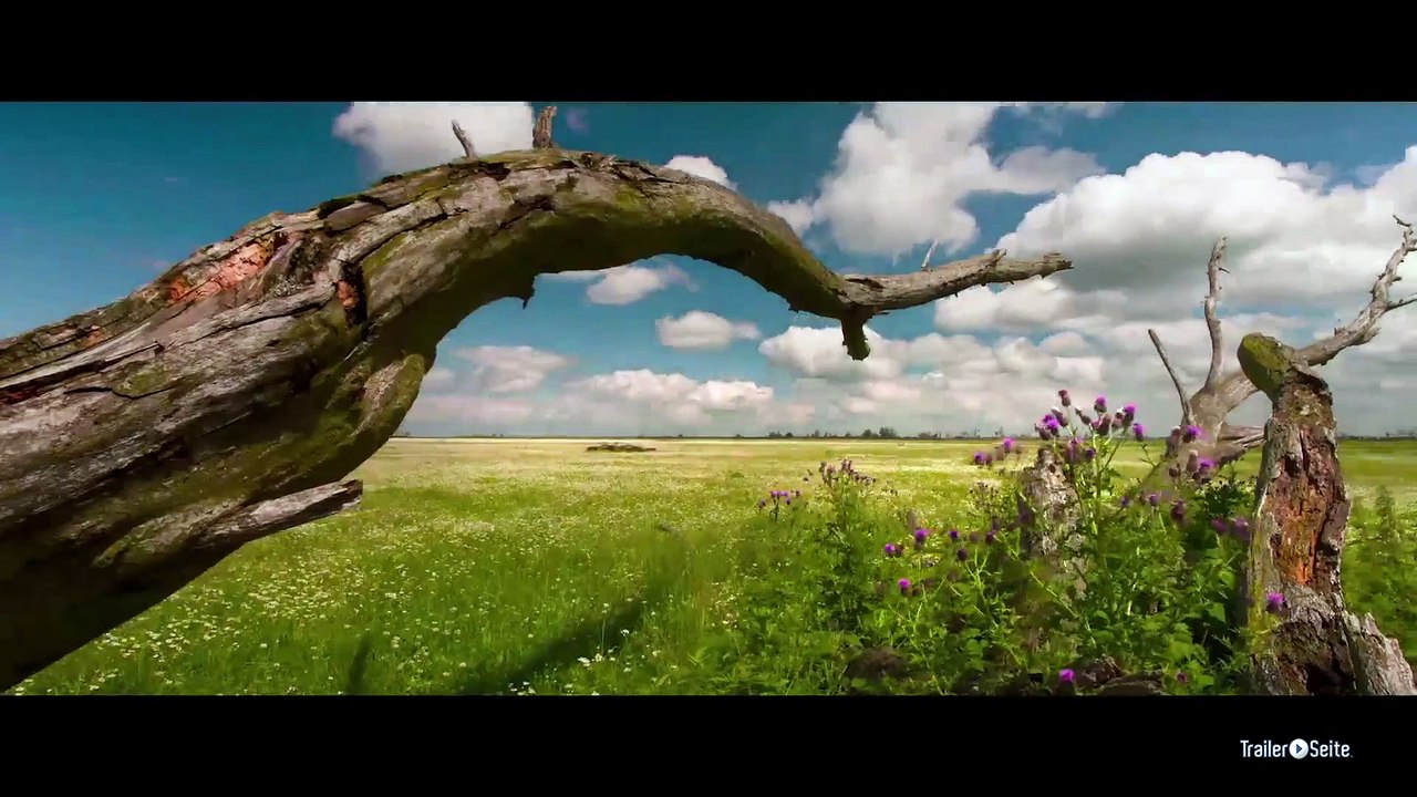 Die Neue Wildnis Trailer (2015)
