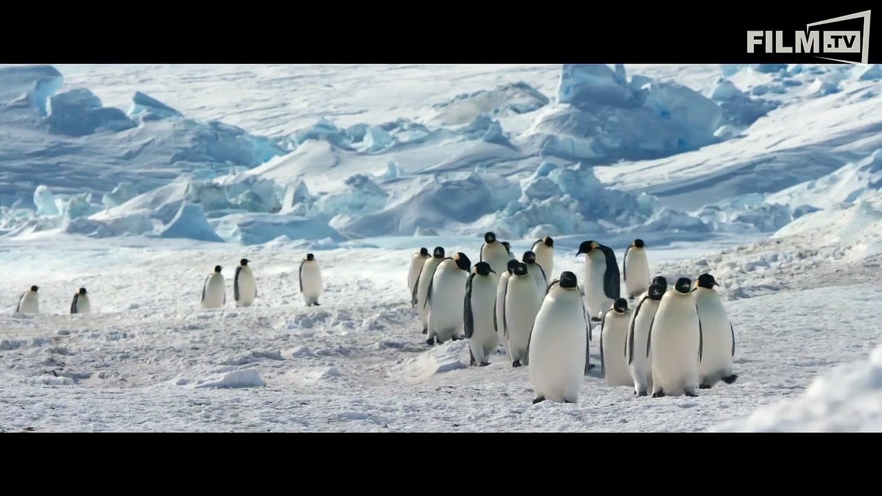 Die Reise Der Pinguine 2 Trailer (2017)