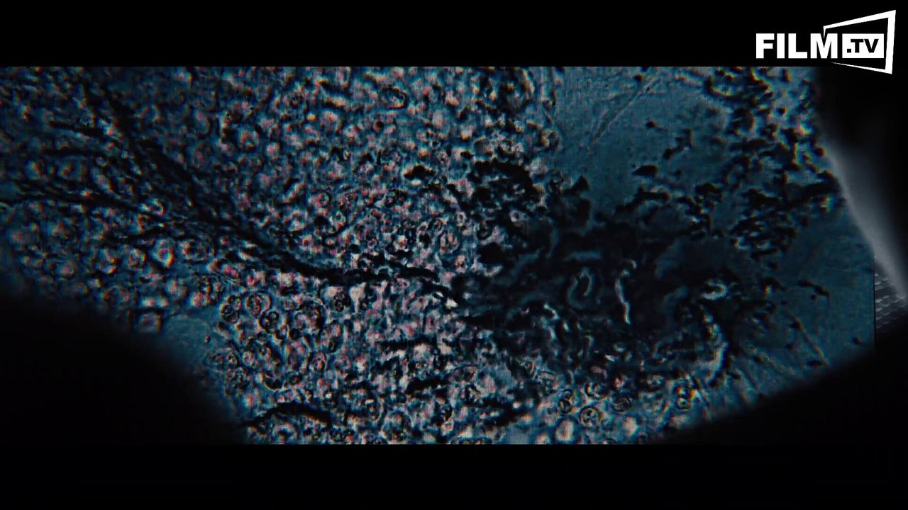 Der MAZE-RUNNER-Guide - Trailer