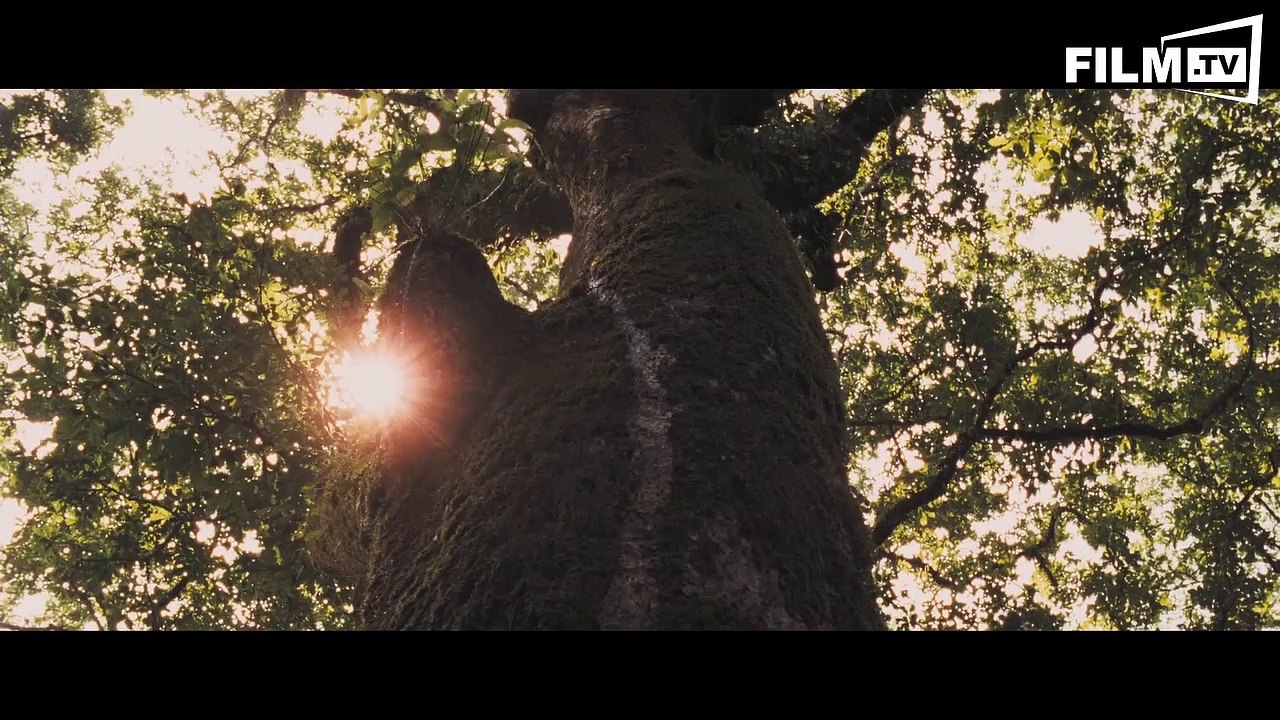 The Liberator - Trailer - Filmkritik (2015) - Trailer