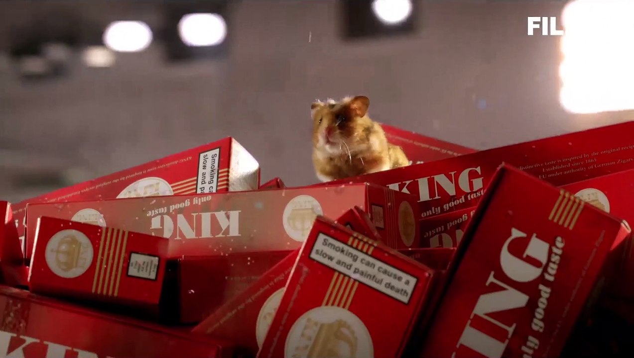 Rettet Raffi - Trailer - Filmkritik (2015) - Clip 4