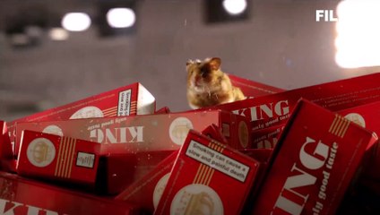 Rettet Raffi - Trailer - Filmkritik (2015) - Clip 4