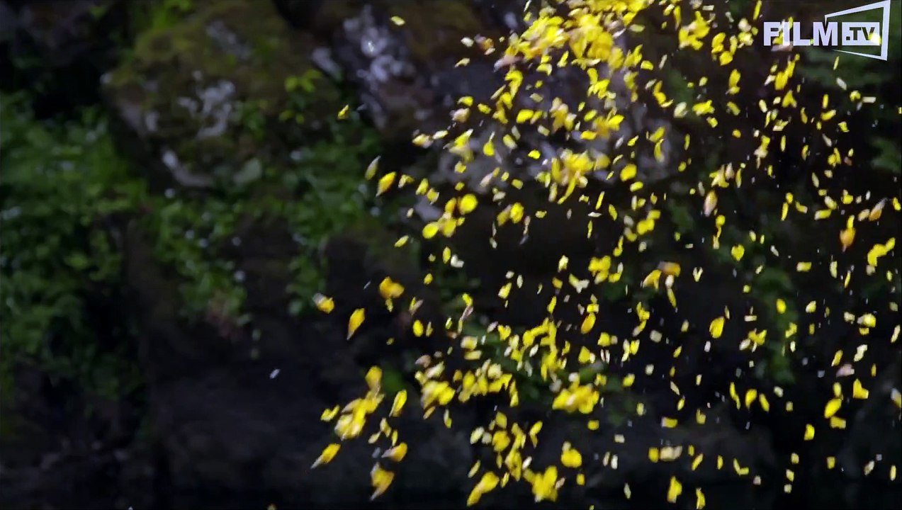 Leaning Into The Wind: Andy Goldsworthy Trailer (2017)