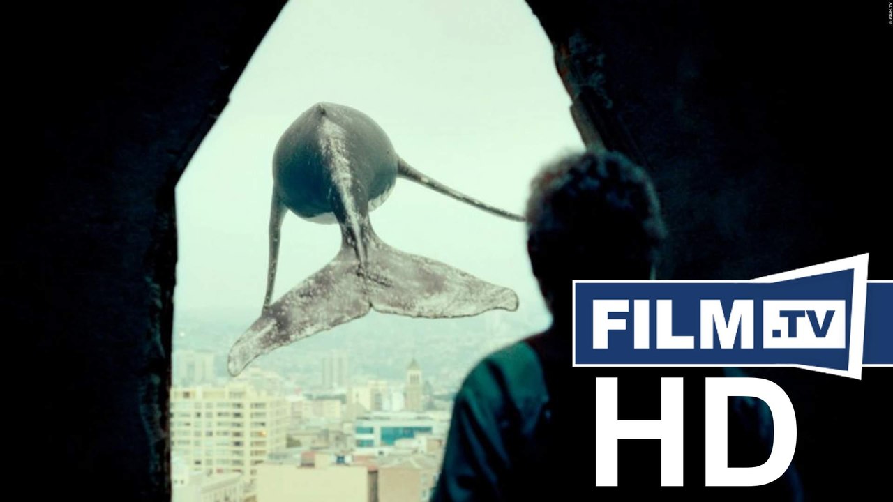 Los versos del olvido trailer (2018)