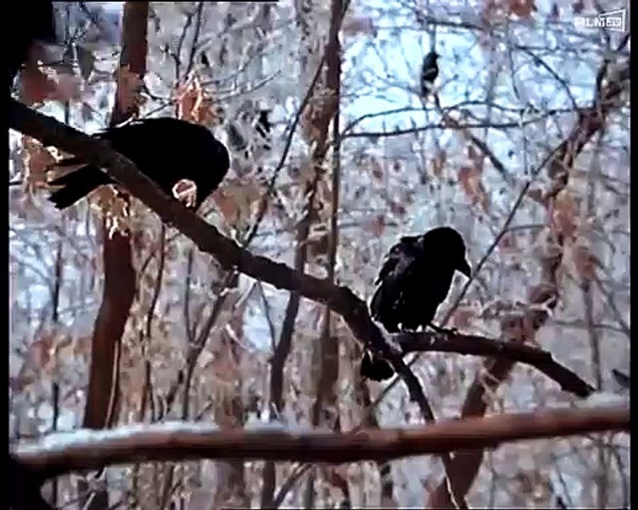 Ein Einfacher Plan Trailer