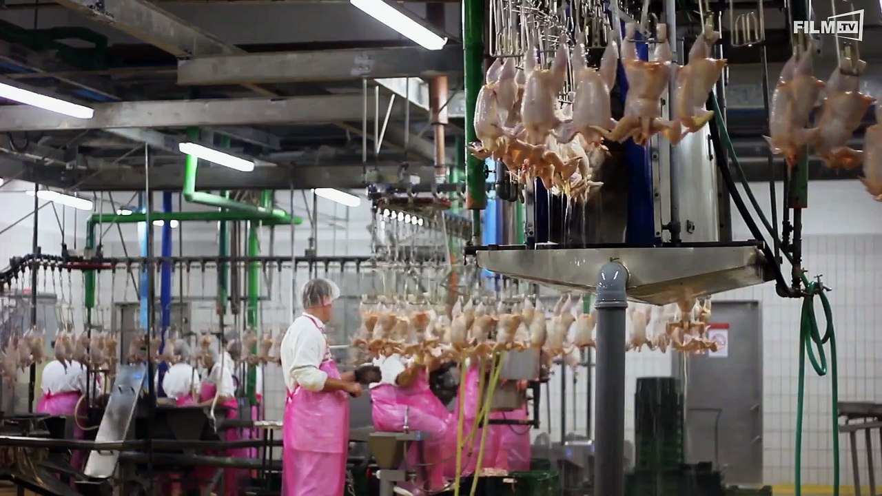 Was Essen Wir Morgen Trailer Deutsch German (2018)