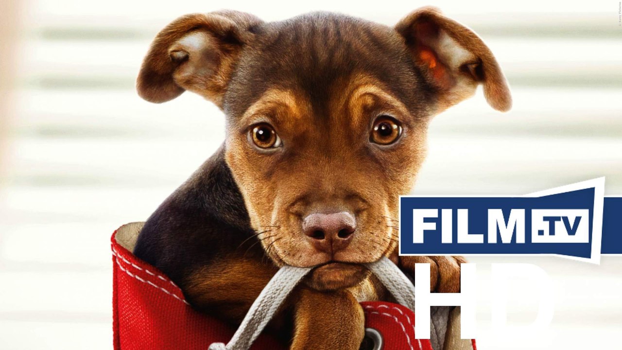 Die Unglaublichen Abenteuer Von Bella Trailer Deutsch German (2019)