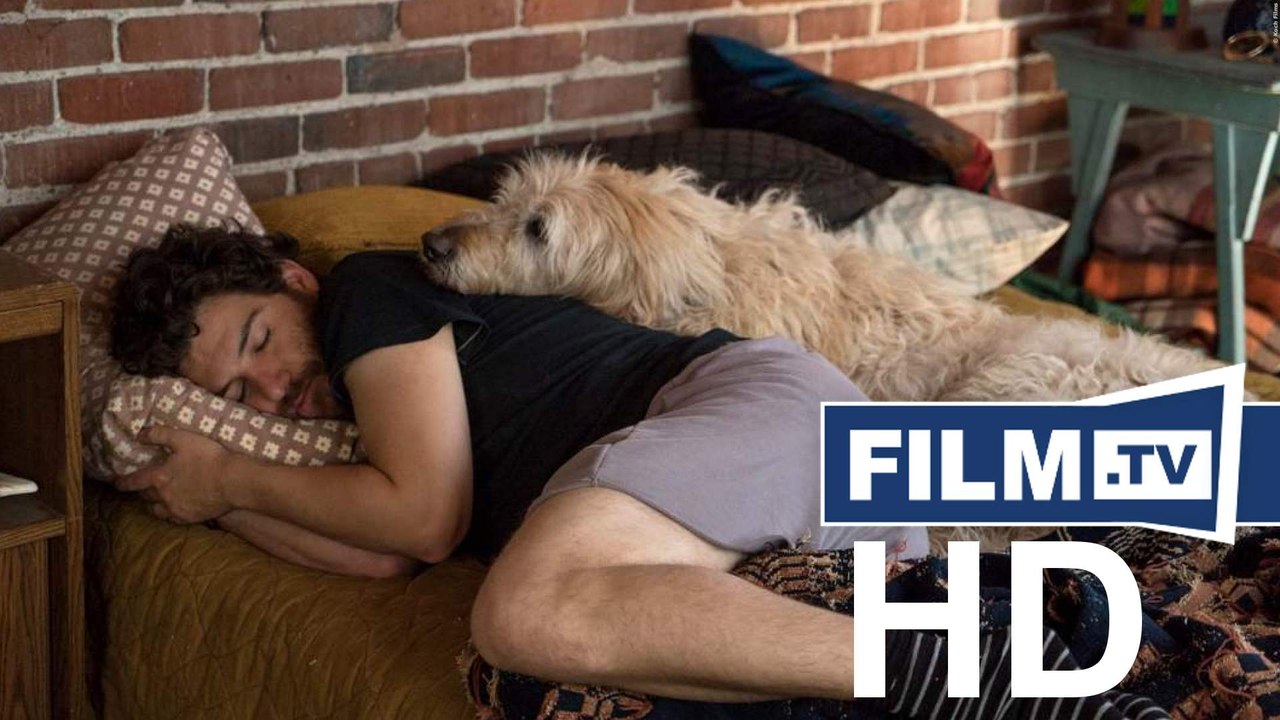 Dog Days Trailer - Herz, Hund, Happy End Deutsch German (2019) - Trailer