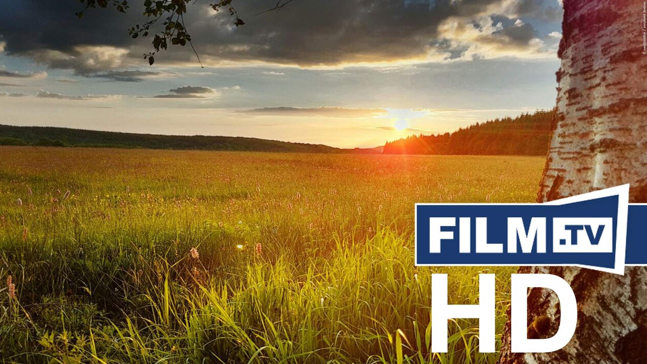 Die Wiese - Ein Paradies Nebenan Trailer Deutsch German (2019)