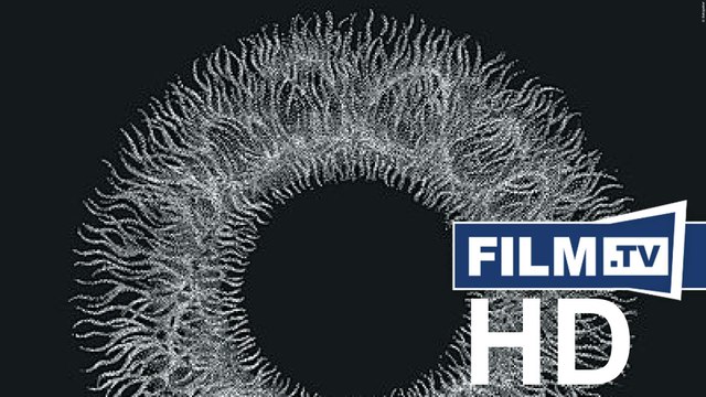 Where Does A Body End? Trailer Deutsch German (2020)