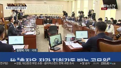 추미애 국감 재등판…윤석열에 '반격' 예고