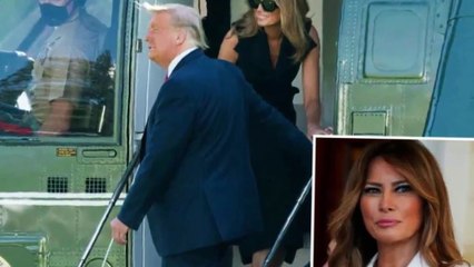 IDENTITY POLITICS ‘Fake Melania’ Trump conspiracy spread by online trolls who says president