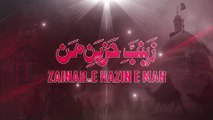 Zainab E Hazin E Man | Aey Ghamzada Behen sa, Alwida | Ali Jee Noha 2020 | Karbala e Mualla