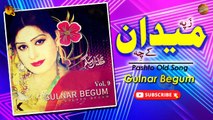 Za Pa Maidan Ke Chi - Gulnar Begum - Pashto Old Song