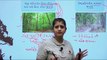 Natural Forests and Vegetation - Geography of India | DHI GURUKUL