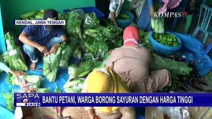 Bantu Petani, Warga Borong Sayuran dengan Harga Tinggi