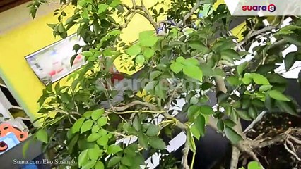 Cita Rasa 'Bubor Paddas' Pak Ngah di Pontianak Bikin Ngiler, Yuk Cicipi