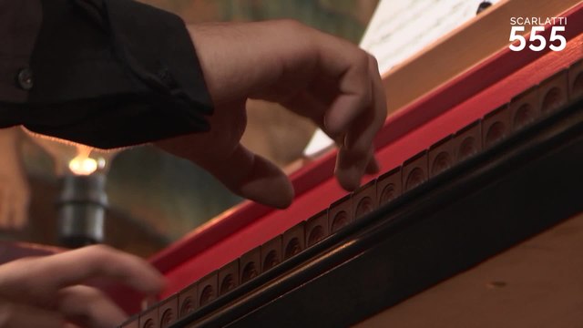 Scarlatti : Sonate pour clavecin en Ré Majeur K 436 L 109 (Allegro), par Cristiano Gaudio - #Scarlatti555