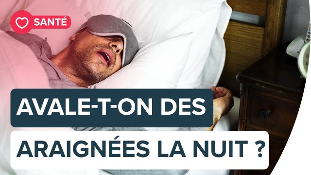 Combien d'araignées mangez-vous réellement durant votre sommeil ? | Futura