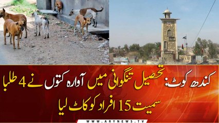 Stray dogs bite 15 people in Tehsil Tangwani
