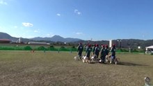 K9Japan西条チーム2020.10.25