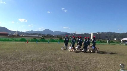 K9Japan西条チーム2020.10.25