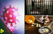 Covid 19 et usagers de drogues : retours réflexifs sur les mesures de prévention (CEPIAD/Prisons)