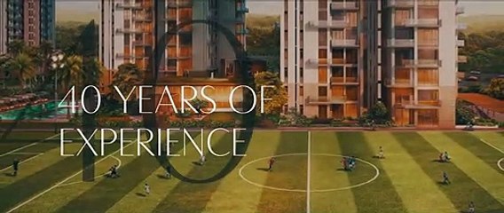 conscient hines elevate