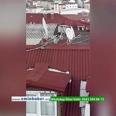 Çatıya çıkan çocuk yürekleri ağza getirdi
