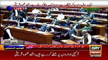 FM Qureshi Presented Resolution in National Assembly against France Islamophobia, Blasphemous Sketches