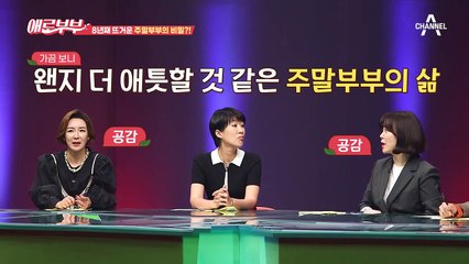 주말부부 8년 차 아내와 남편, 남편의 사택에 수상한 여자가 있다?