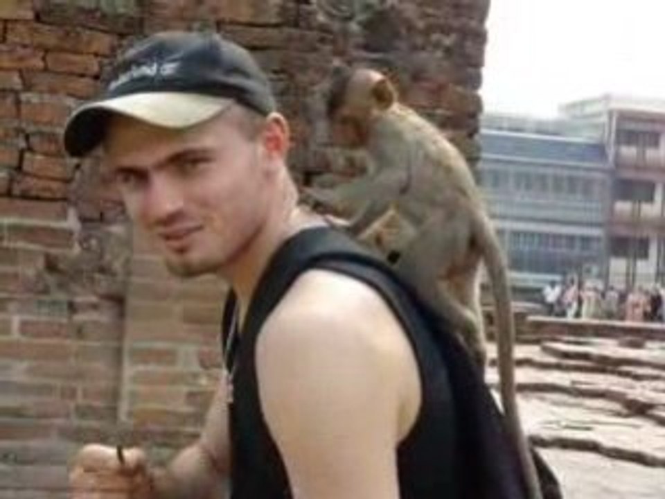 Singes Lopburi Thailande 2008 Globe-trotter routard