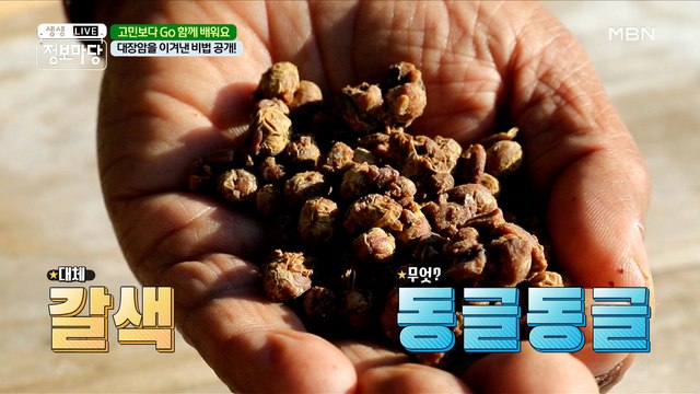 갈색의 동글동글한 음식의 정체는?