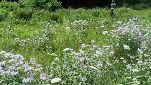 New York Minnewaska State Park