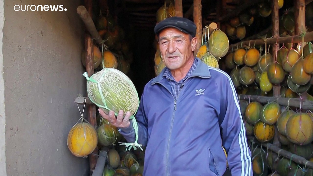 Rekord-Melonenernte sorgt für Wirtschaftaufschwung in Usbekistan