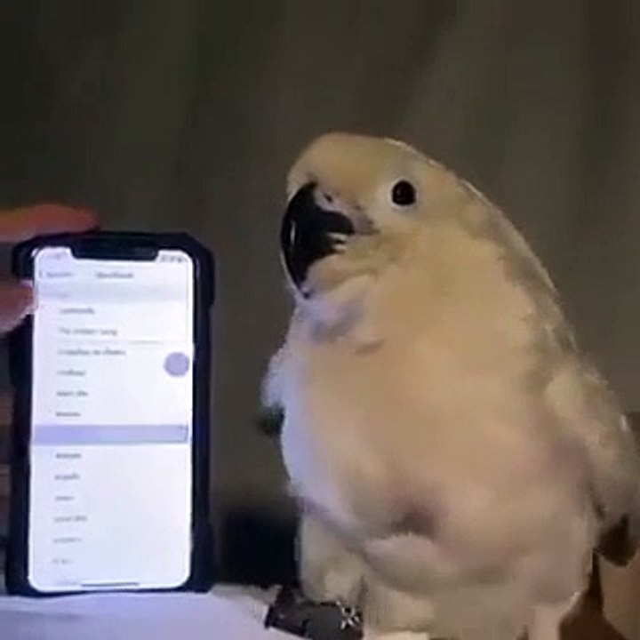 When you so cute you can dance to anything