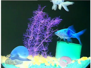 Language Nursery in G Major [Part 2]