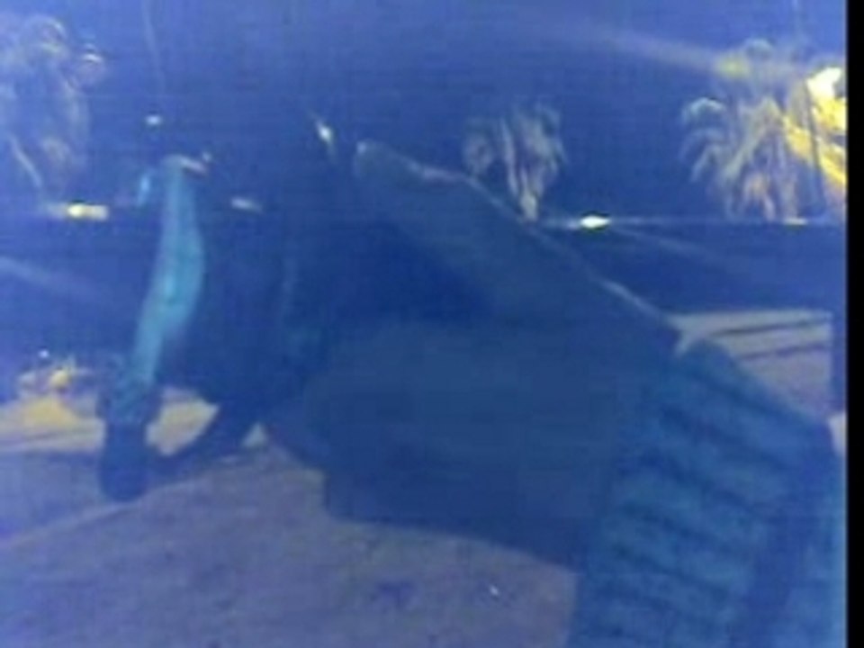 biougra nachat rouicha2