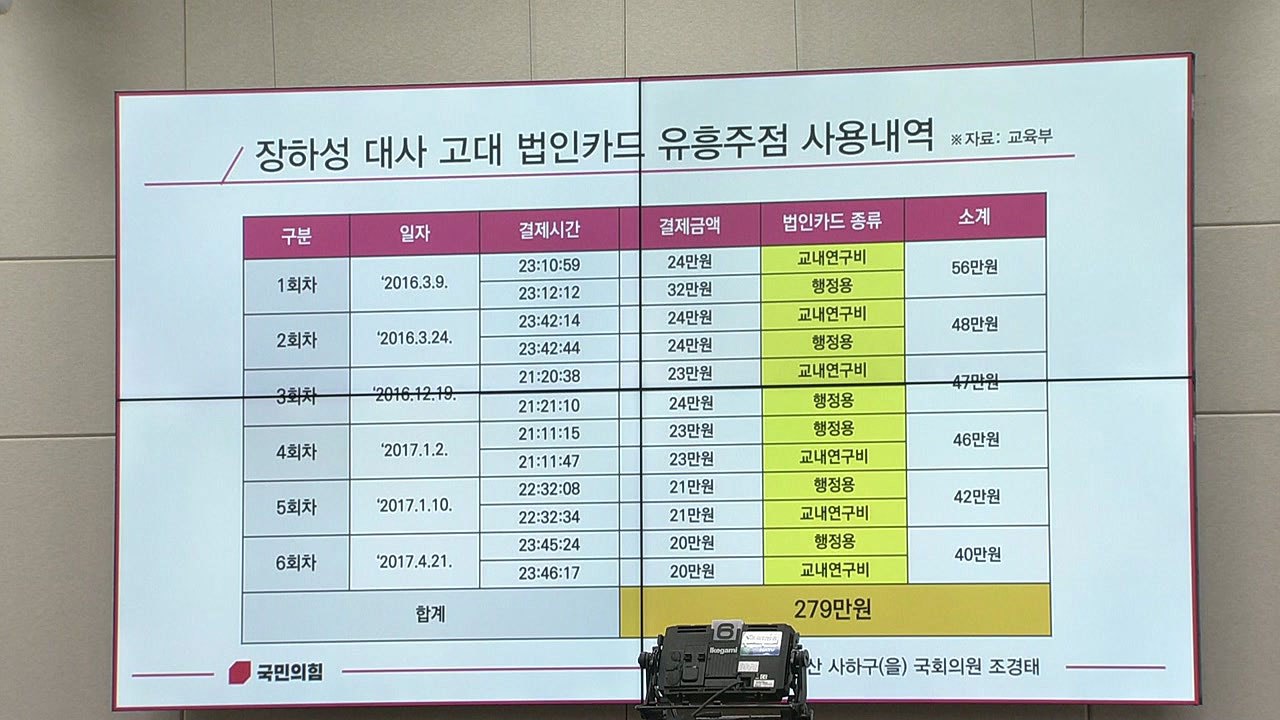 조경태 "장하성 주중대사 국감 위증...해임해야" / YTN