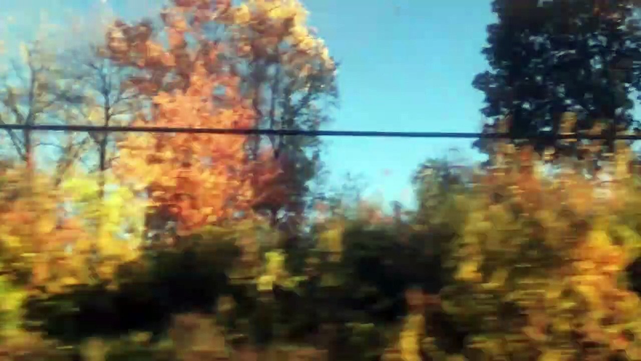 And Nothing Happened  a film by Naima Ramos Cha...