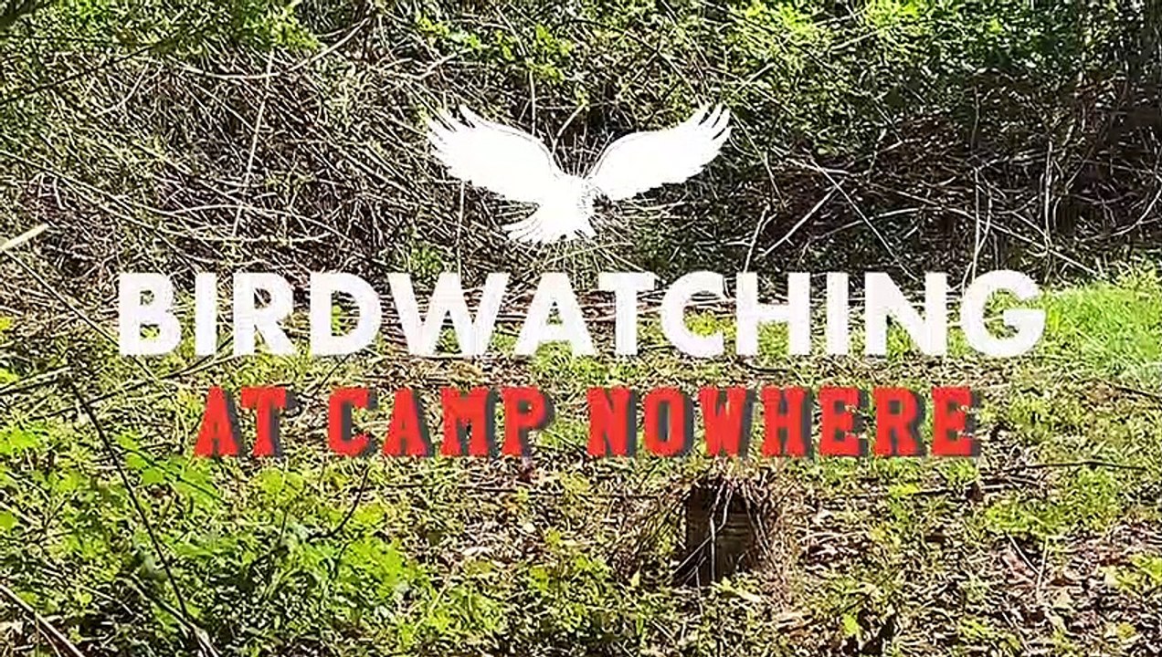 Birdwatching at Camp Nowhere