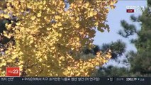 [날씨] 일교차 큰 가을 날씨…주말도 대체로 맑음