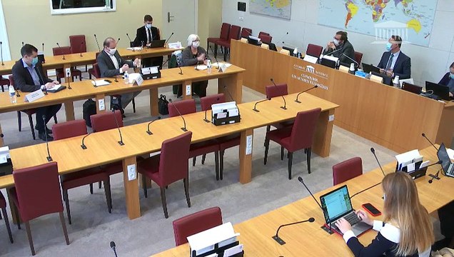 Bâtir et promouvoir une souveraineté numérique nationale et européenne : Auditions diverses - Jeudi 29 octobre 2020