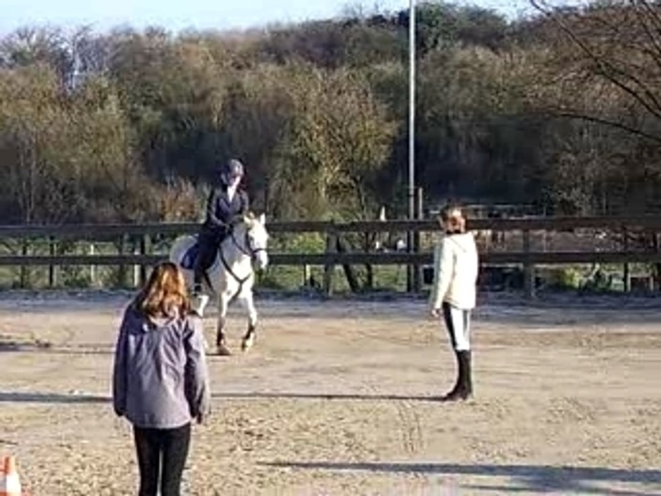 Concours obstacle