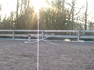 CSO avec Indiana (95 cms)