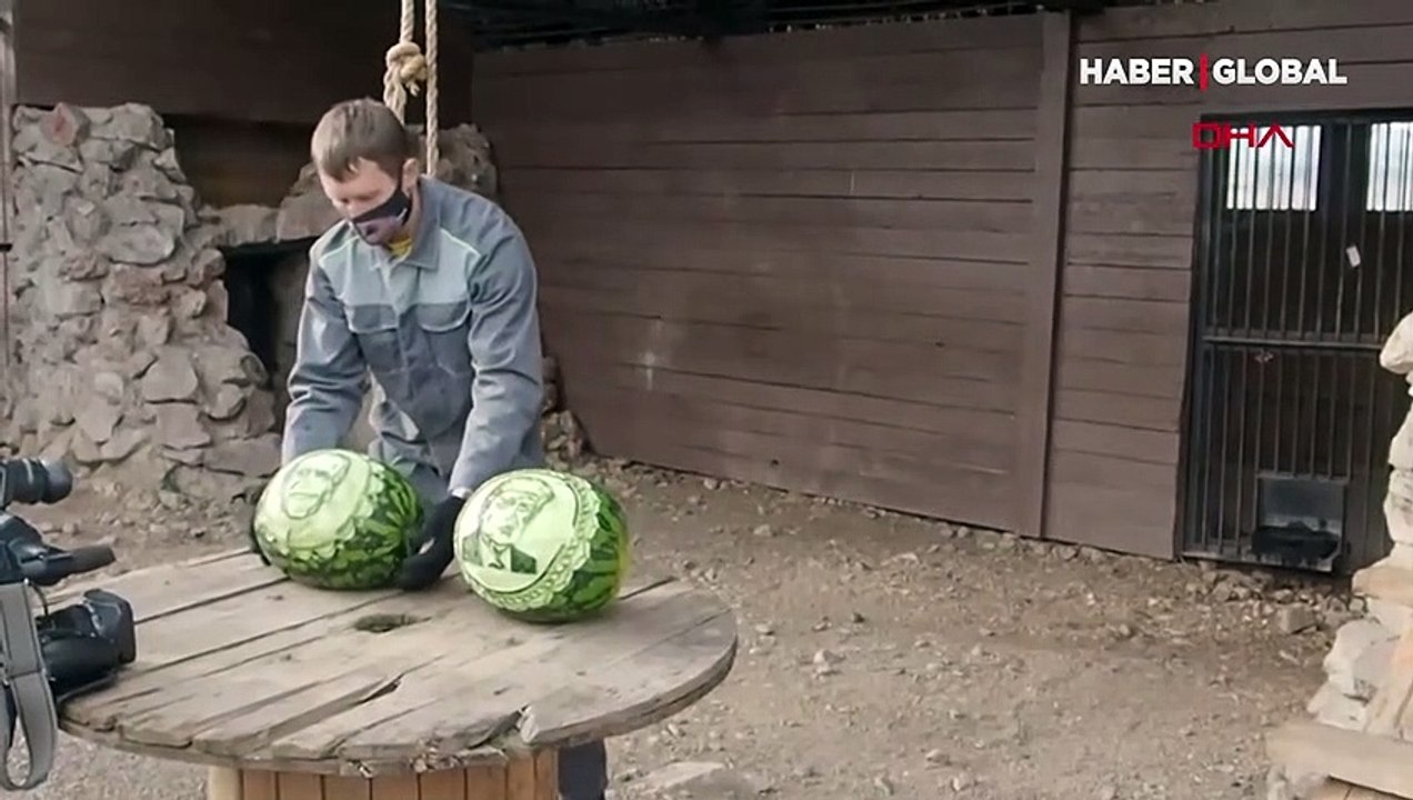 Rusya'da bir hayvanat bahçesindeki hayvanlar ABD başkanlık seçimlerine dair kehanette bulundu