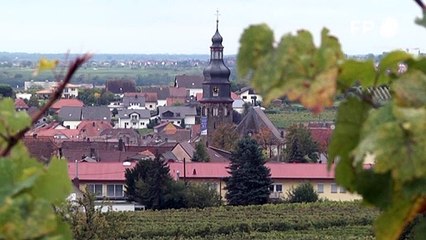 Keine Trump-Euphorie mehr in Kallstadt