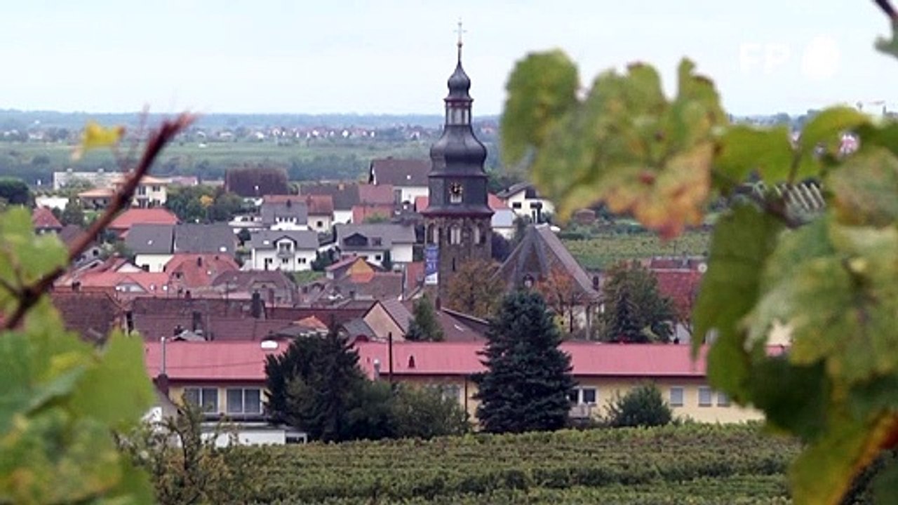 Keine Trump-Euphorie mehr in Kallstadt