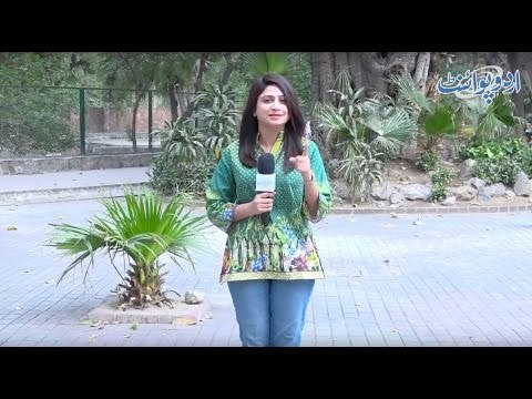 جب عائشہ چھ سال کی تھی تو اسکی بہن کی عمر اس سے آدھی تھی۔۔ اب کتنی عمر ہوئی؟